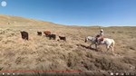 Grazing on Public Lands