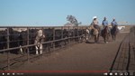 Pen riders at Magnum Feedyard