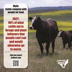 Fact: 90% of what cattle eat is leftovers
