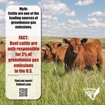 Fact: Cattle are only responsible for 2% of GHG