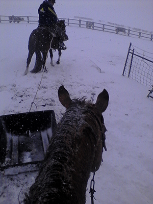 Snow cart