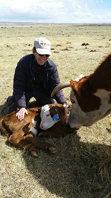 Sara and calf